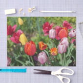 Tulpen-Foto-Seidenpapier Seidenpapier (Handwerk)