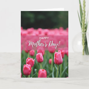 Tulpen-Frühlingskarte mit rosa Nebel Karte