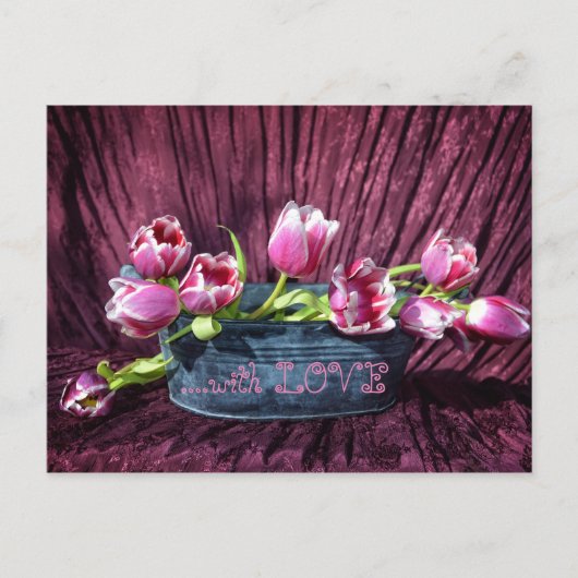 Tulpen für Dich ... Postkarte (Vorderseite)
