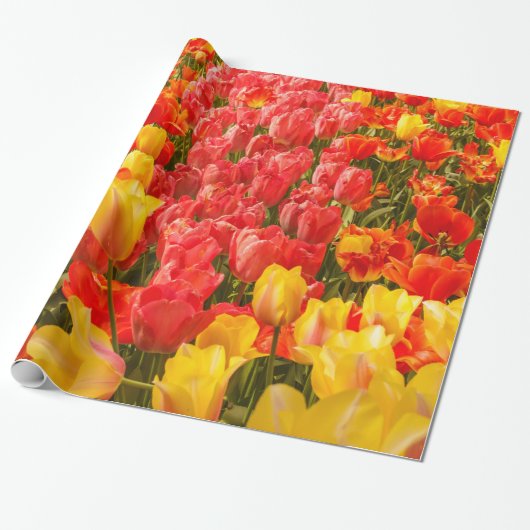 Tulpen für glänzendes Wrapping Paper Geschenkpapier (Ungerollt)