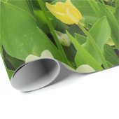 Tulpen für glänzendes Wrapping Paper Geschenkpapier (Rolleneckpunkt)