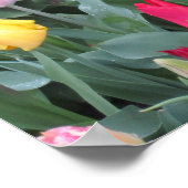 Tulpen Garten Poster (Ecke)