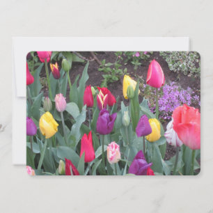 Tulpen-Garten-Wohnung Feiertagskarte