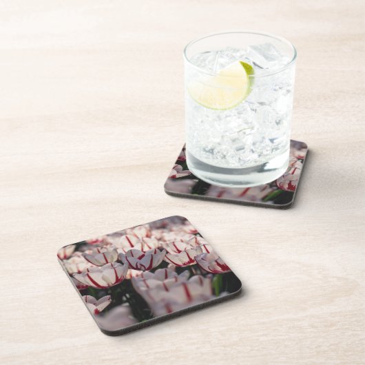 Tulpen Getränkeuntersetzer (Rechte Seite)