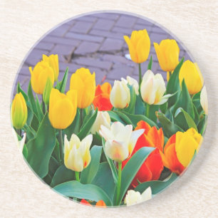 Tulpen Getränkeuntersetzer