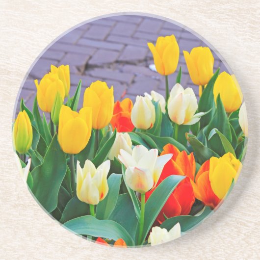 Tulpen Getränkeuntersetzer (Vorne)