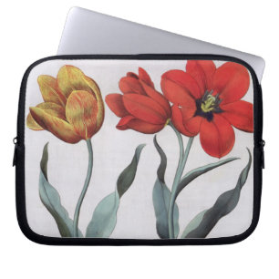 Tulpen: globosa 1.Tulipa serotina cinnabrio colore Laptopschutzhülle