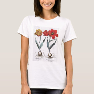 Tulpen: globosa 1.Tulipa serotina cinnabrio colore T-Shirt