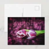 Tulpen Gruß Postkarte (Vorne/Hinten)