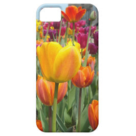 Tulpen im Brise iPhone Fall Case-Mate iPhone Hülle