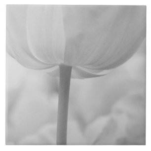 Tulpen im Keukenhof-Garten, Holland. Fliese