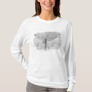 Tulpen im Keukenhof-Garten, Holland. T-Shirt