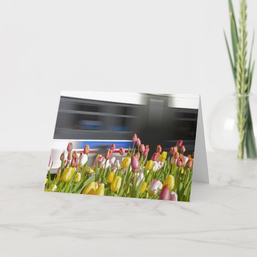 Tulpen im Stadtesprit Karte (Vorderseite)
