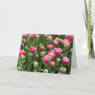 Tulpen im Überfluss Leere Grußkarte Karte