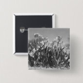 Tulpen in der Blüte Button (Vorne & Hinten)