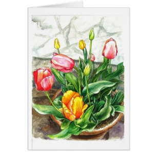 Tulpen in einem Topf