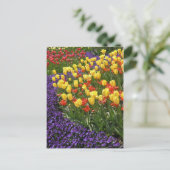 Tulpen in farbenreichem postkarte (Stehend Vorderseite)