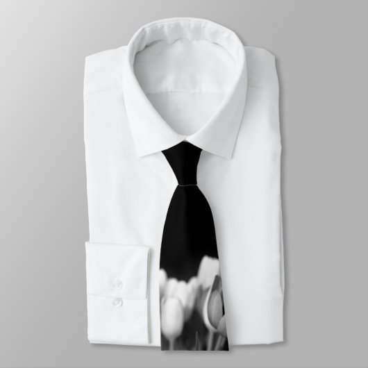 Tulpen in Schwarzem u. im Weiß Krawatte (Gebunden)