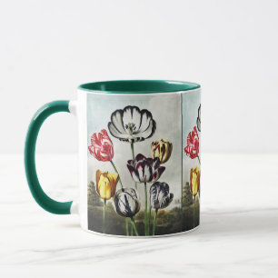Tulpen in verschiedenen Farben im launischen Regen Tasse