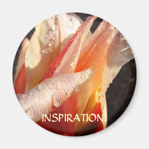 TULPEN INSPIRATIONS-MAGNET Regentropfen Tulpenblum Magnet