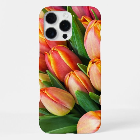 Tulpen iPhone Hülle (Rückseite)