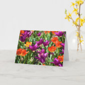 Tulpen, Karte (Gelbe Blume)