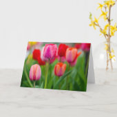 Tulpen Karte (Gelbe Blume)