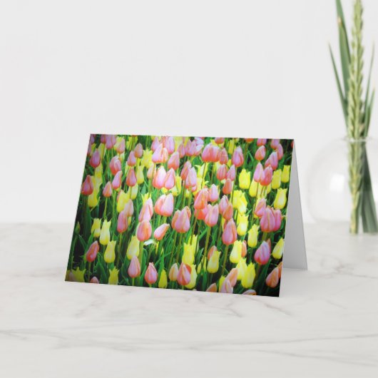 Tulpen Karte (Vorderseite)