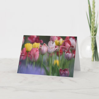Tulpen Karte