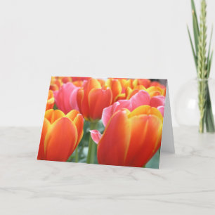 Tulpen Karte