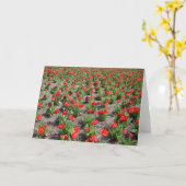 Tulpen, Karte (Gelbe Blume)