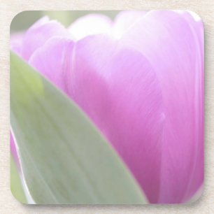 Tulpen, Keukenhoff-Gärten, Niederlande. 2 Getränkeuntersetzer