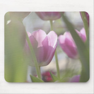 Tulpen, Keukenhoff-Gärten, Niederlande. Mousepad