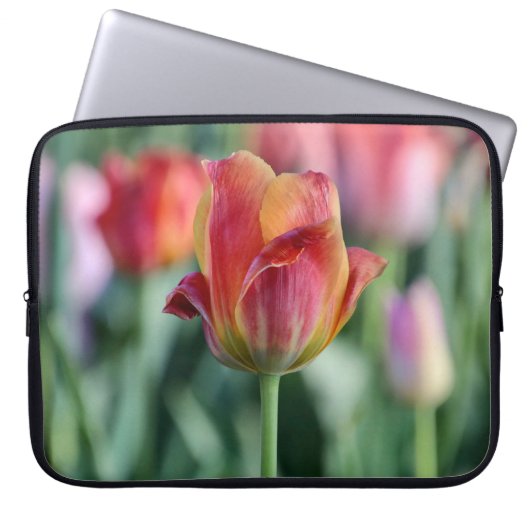 Tulpen-Laptop-Hülle hervorheben Laptopschutzhülle (Vorderseite)