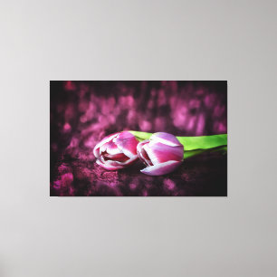 Tulpen Leinwanddruck