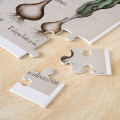 Tulpen: lutea 1.Tulipa maculis rubens; Au 2.Tulipa Puzzle (Seite)