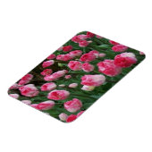 Tulpen Magnet (Linke Seite)