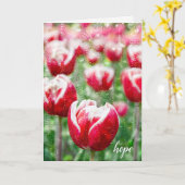 Tulpen mit Regentropfen auf Beileid Karte (Gelbe Blume)