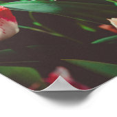 Tulpen mit Vintagem Rosa Poster (Ecke)
