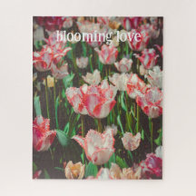 Tulpen mit Vintagem Rosa