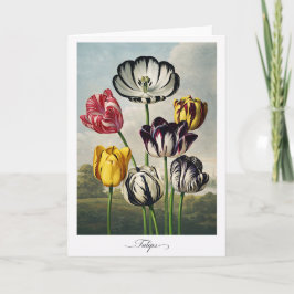 Tulpen — Moderne botanische Neuinterpretation Karte