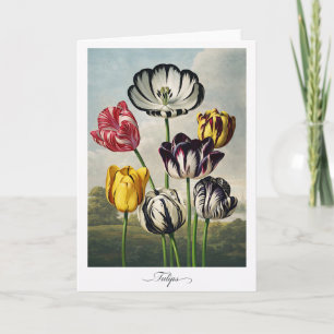 Tulpen — Moderne botanische Neuinterpretation Karte