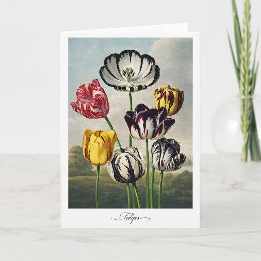 Tulpen — Moderne botanische Neuinterpretation Karte (Vorderseite)