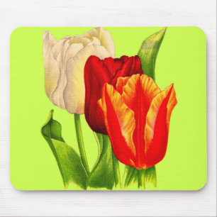 Tulpen Mousepad