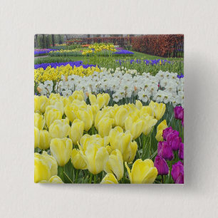 Tulpen, Narzissen und Traubenhyazinthenblüten, Button