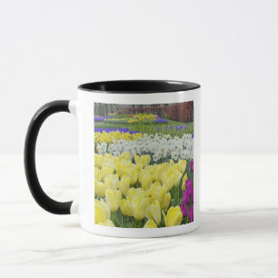 Tulpen, Narzissen und Traubenhyazinthenblüten, Tasse