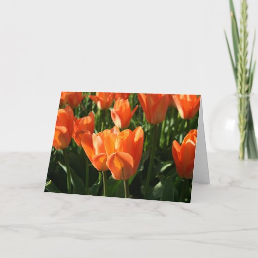 Tulpen NoteCard Karte (Vorderseite)