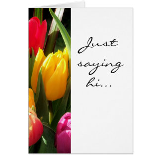 Tulpen, nur Sprichwort hi..