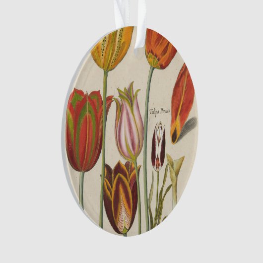 Tulpen Ornament (Vorderseite)