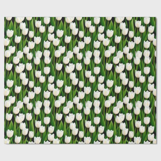Tulpen - Packpapier (Flach)